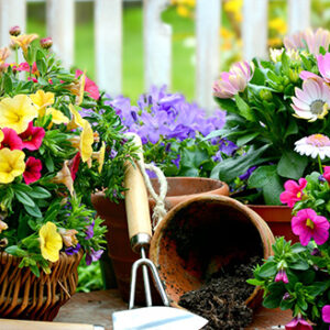 Jardinage pratique