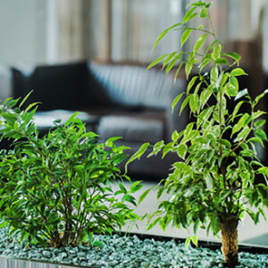 Jardinage pratique