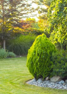 Coaching jardinage proche de Rodez